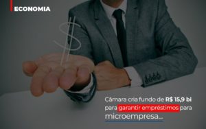 Camara Cria Fundo De Rs 15 9 Bi Para Garantir Emprestimos Para Microempresa Notícias E Artigos Contábeis - Pontual Contadores & Associados
